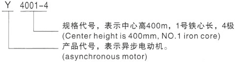 西安泰富西玛Y系列(H355-1000)高压YE2-132M-4三相异步电机型号说明