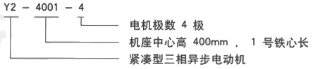 YR系列(H355-1000)高压YE2-132M-4三相异步电机西安西玛电机型号说明